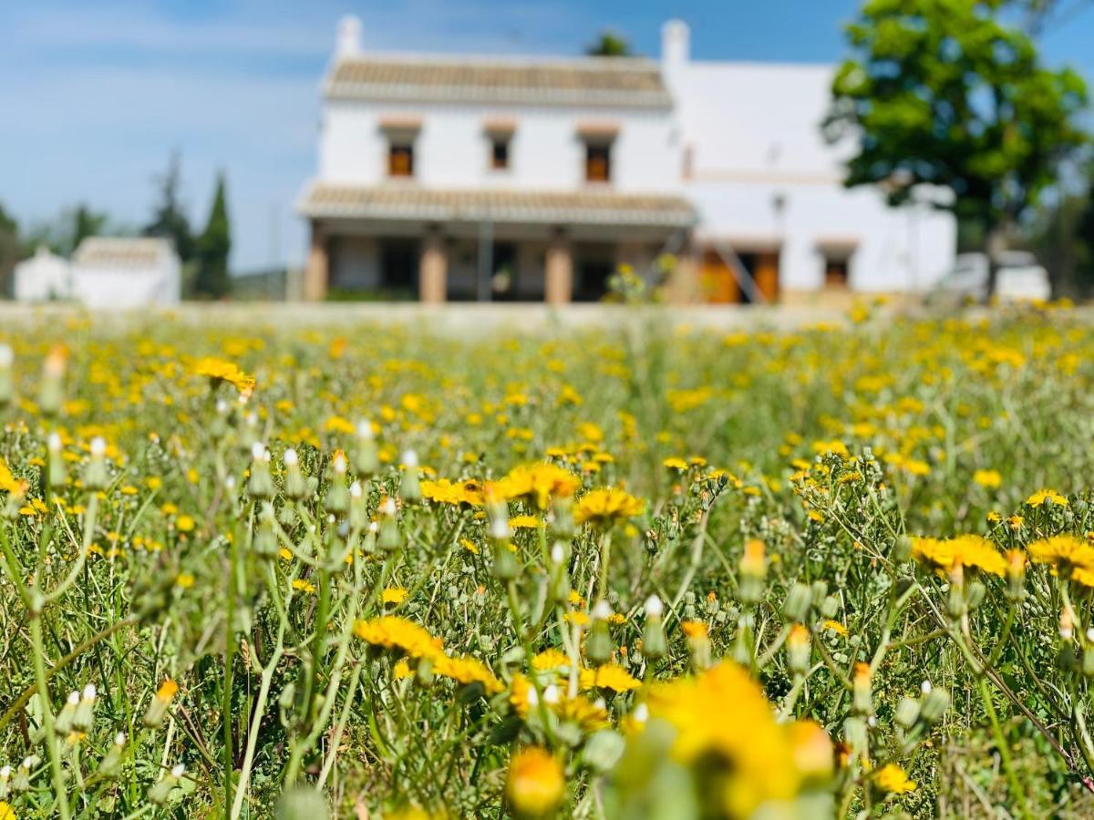 Casa Rural Huerta Abuela Maria Archidona Exteriör bild